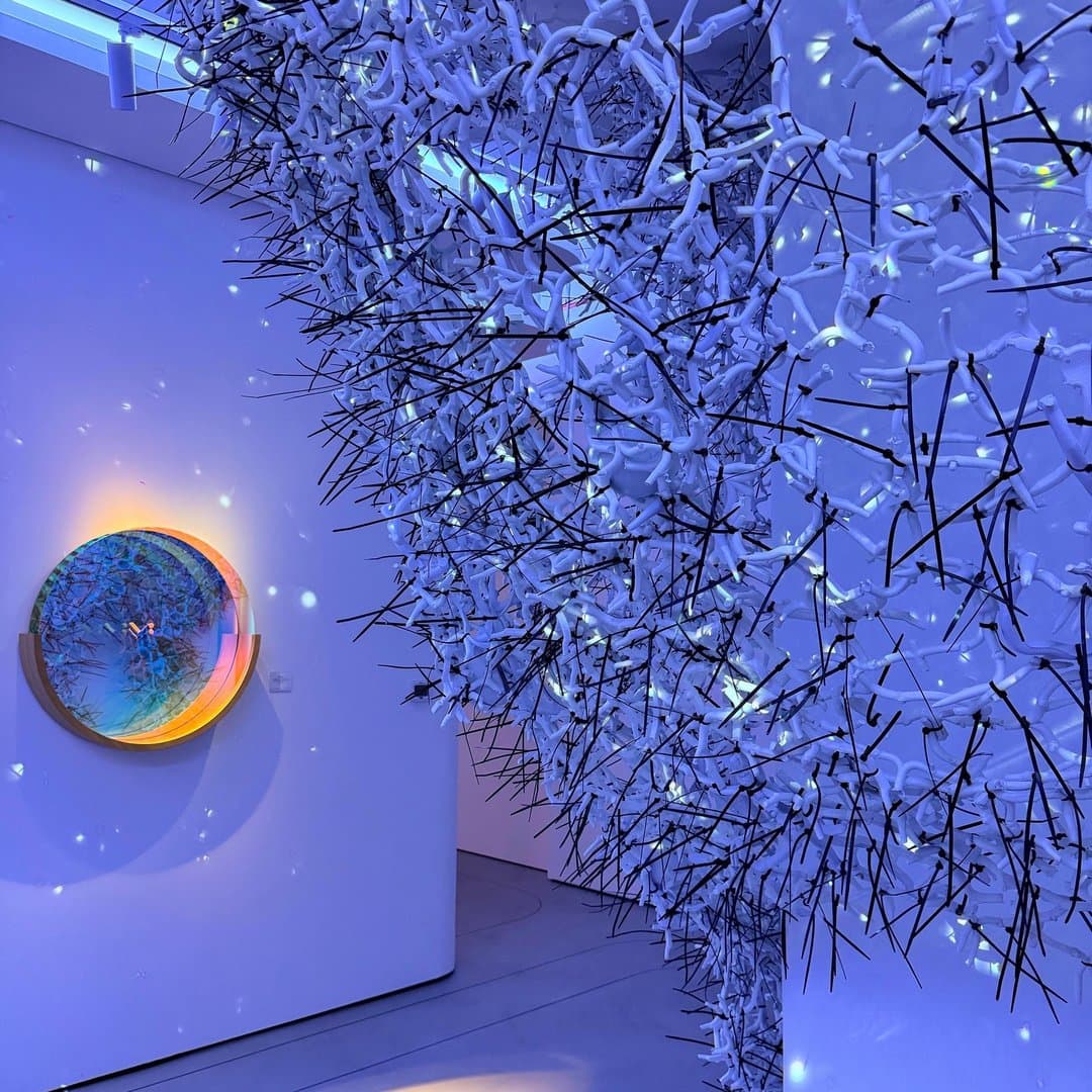 The Tree of Life installation at 37x
